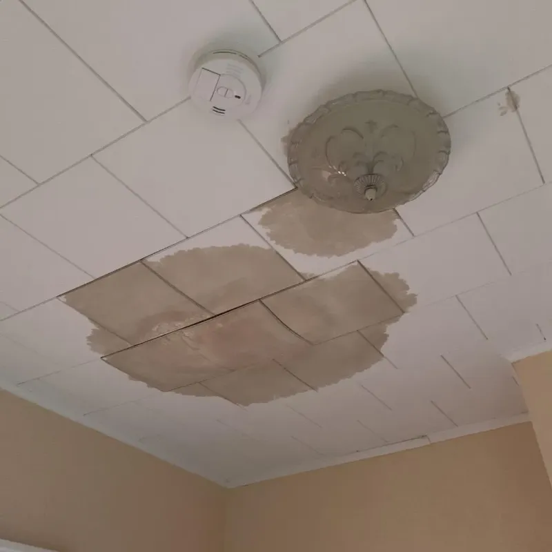 Ceiling Water Damage Repair in Castlewood, VA