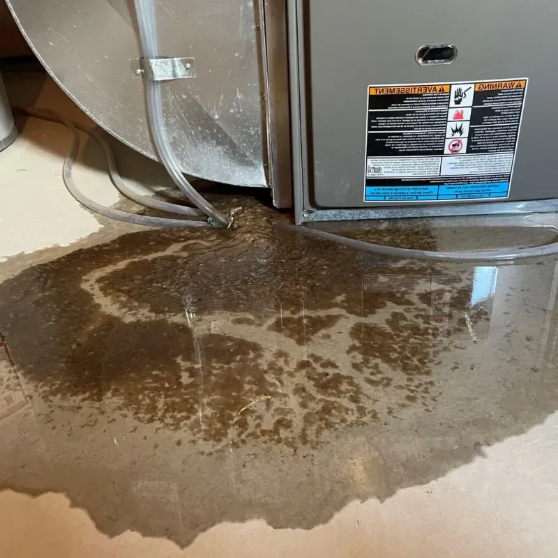 Pipe Burst and Leak Restoration in Castlewood, VA