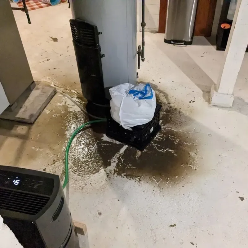 Sewage Backup Cleanup Service in Castlewood, VA